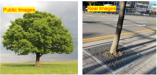 Public vs real-world image differences